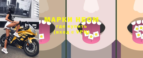 индика Балахна
