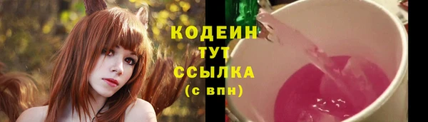 индика Балахна