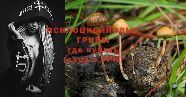 индика Балахна