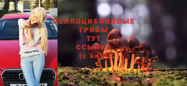 индика Балахна